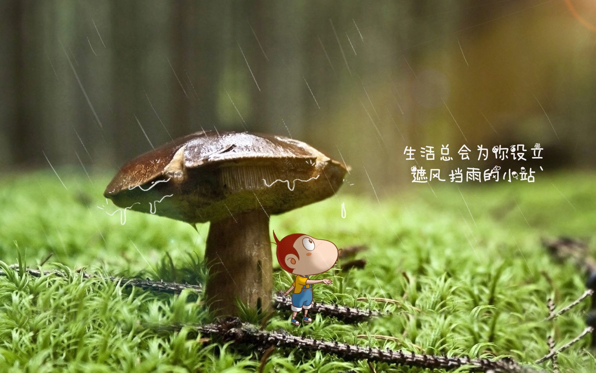 kaiyun官方网站-“勇士突围！面对危机，球队为何能保持坚韧？”，勇士为什么突然崛起