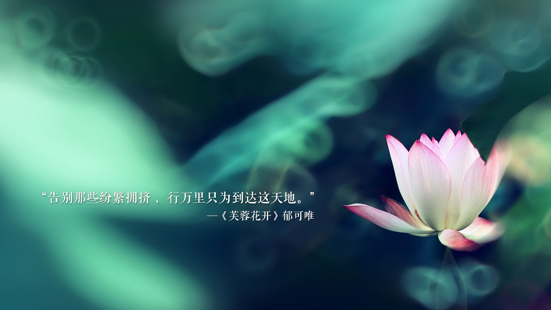 跨界极限飞盘，空中技巧与团队合作的完美结合，极限飞盘的十大简易规则