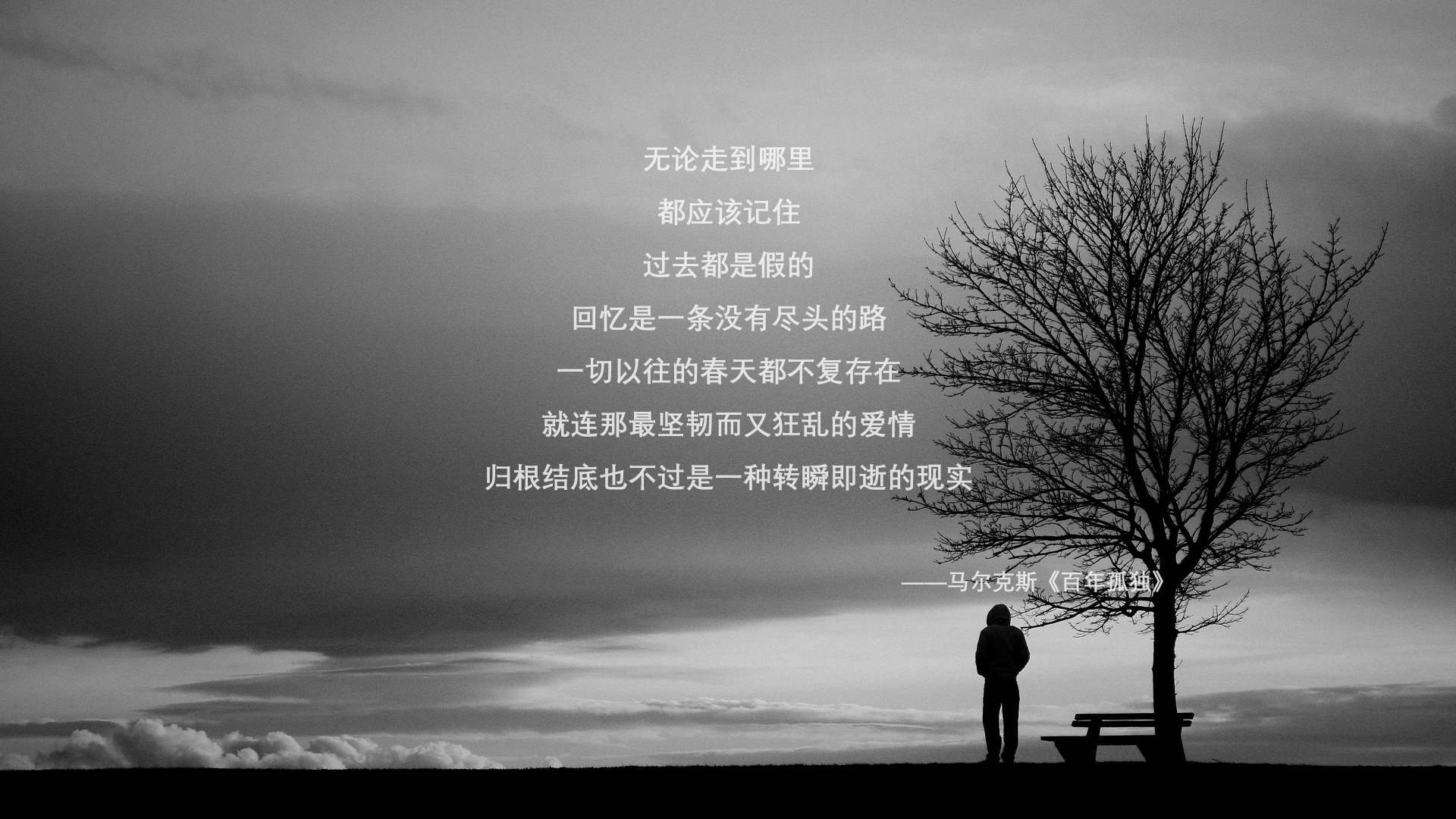 阵容调整带来的巨大变化：谁是赛季最大黑马？，阵容排行