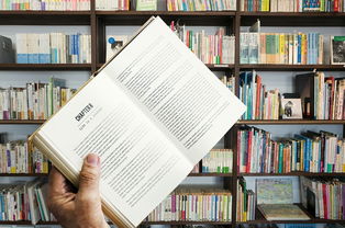 KAIYUN 中国大陆-校园体育文化活动策划与实施研究，学校文化体育活动实施方案