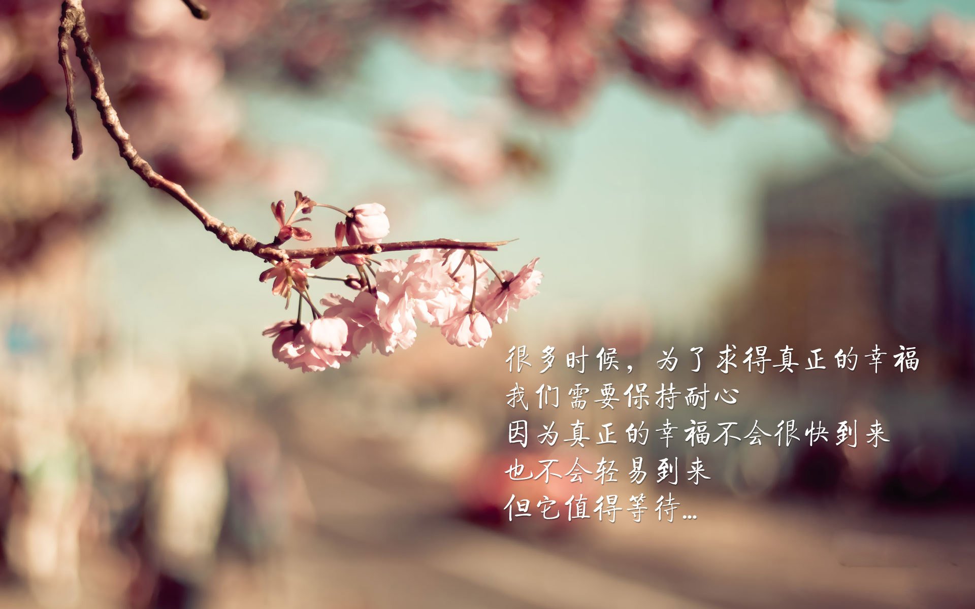 技术细节决定成败：蛙泳世界纪录对比，蛙泳世界纪录是谁