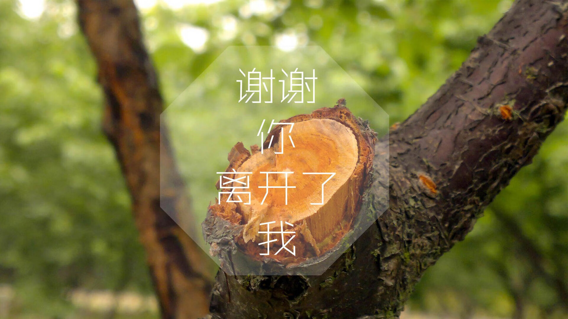 开云官方-地区联赛异军突起，地方俱乐部崭露头角，地区足球联赛