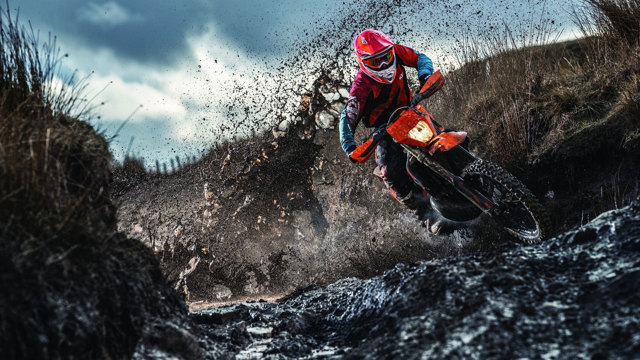 球队幕后:教练如何制定取胜战略,教练策略