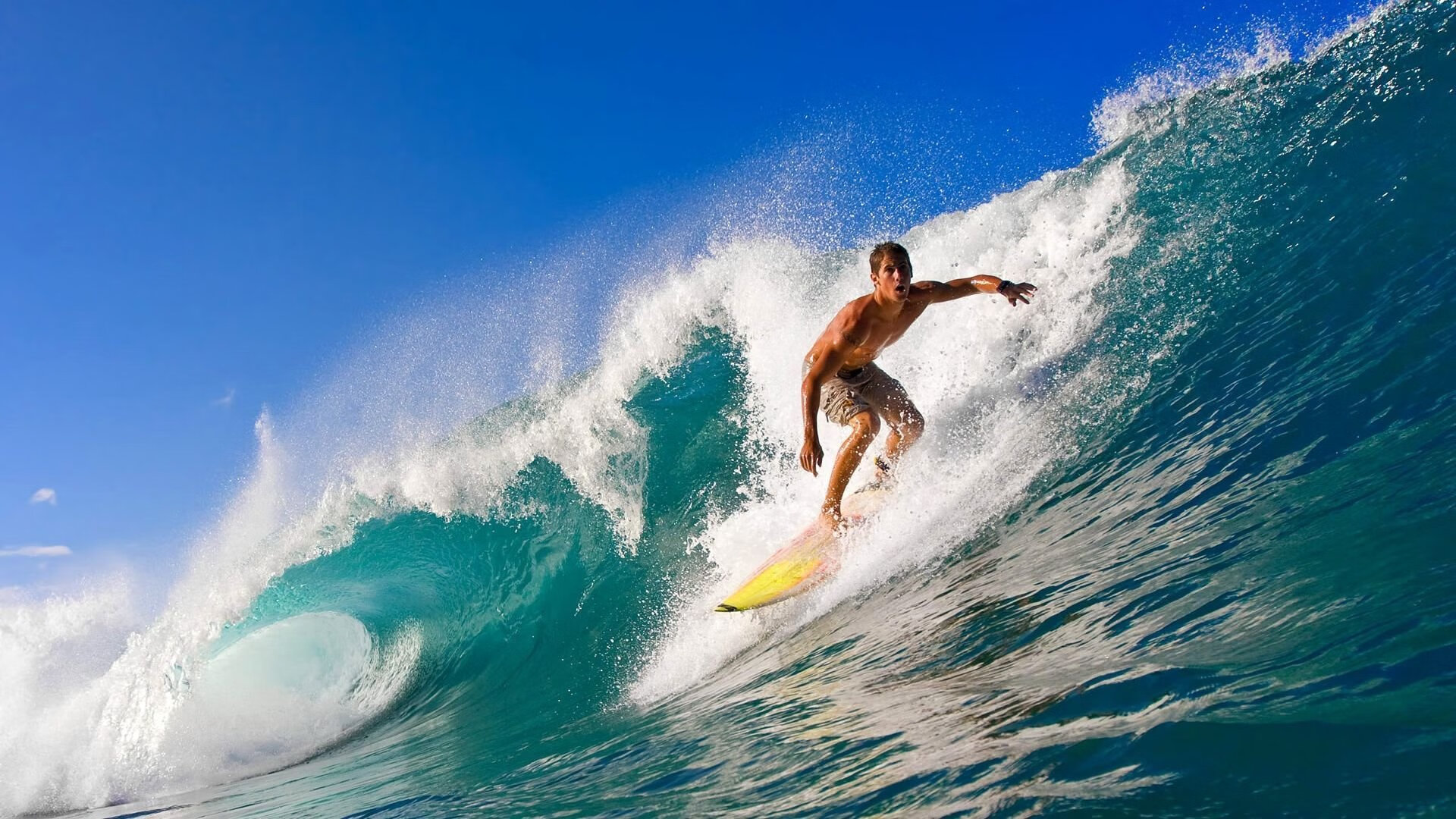 纪录保持者：那些打破或保持历史纪录的明星，纪录“纪录”